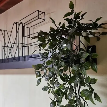 Les Du Saladou Гостевой дом